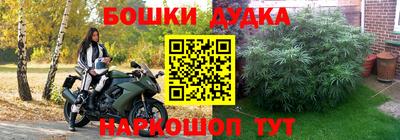 гидра Краснокаменск