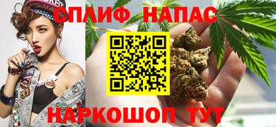 гидра Краснокаменск