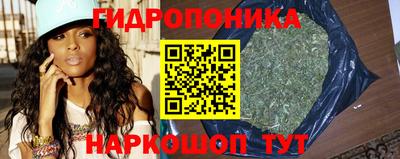 амф Краснодар