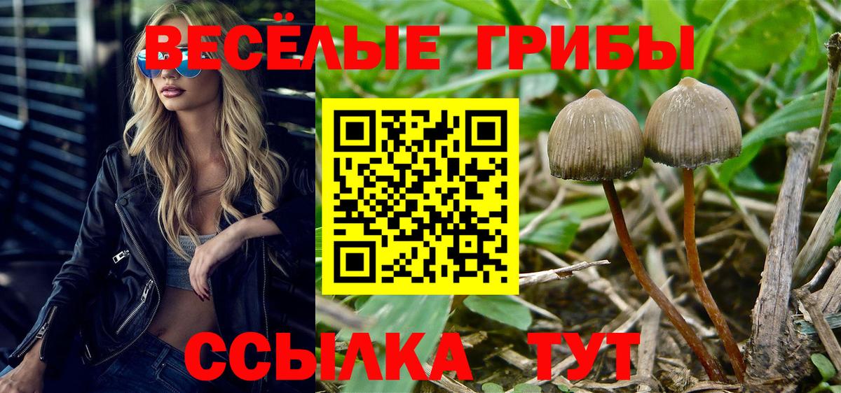 Псилоцибиновые грибы Magic Shrooms Гусиноозёрск