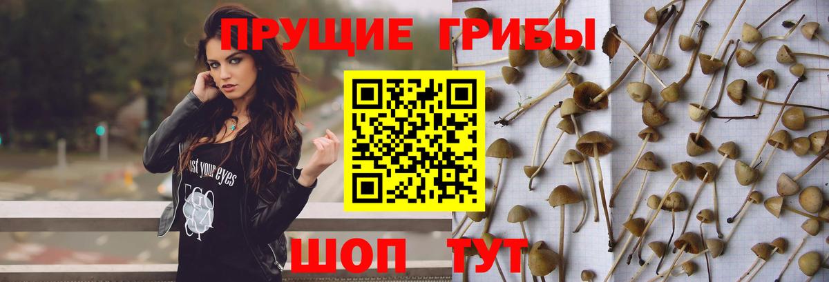 Галлюциногенные грибы ЛСД  Вход с VPN  Псилоцибиновые грибы Magic Shrooms  Гусиноозёрск 